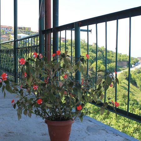 Guest House Shota Sighnaghi Luaran gambar