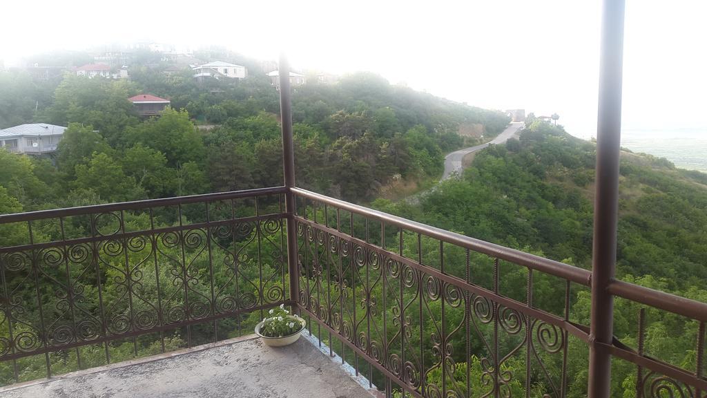 Guest House Shota Sighnaghi Luaran gambar