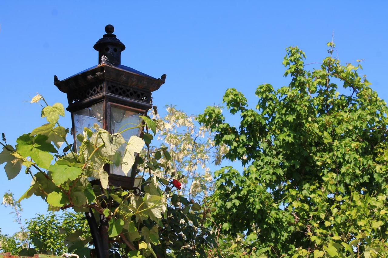 Guest House Shota Sighnaghi Luaran gambar